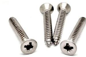 8x1/2 Inches SS Screws