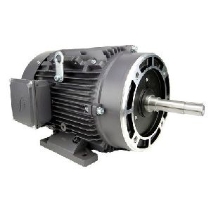 Industrial Motor