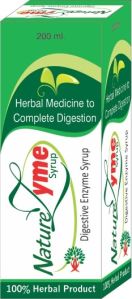 Natures Zyme Syrup