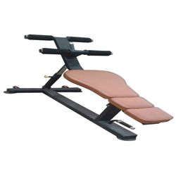 Abdominal Gym Bench