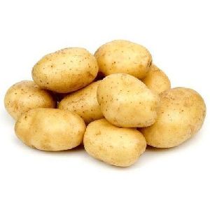 Fresh Potato