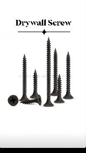 Drywall screw phillips