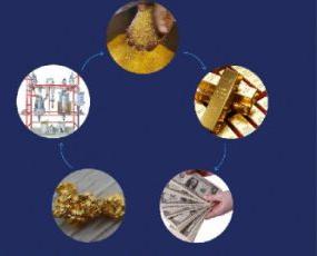 Gold Plant Consultancy Service