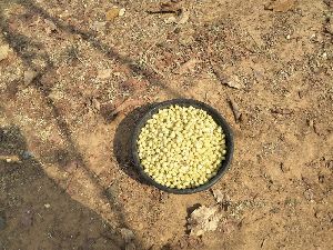 Mahua Flower