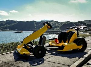 Ninebot Gokart Pro Lamborghini Limited Edition