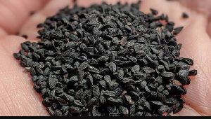 Nigella sativa seeds