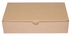 Rectangular Carton Box