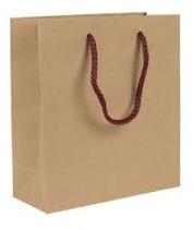 Rope Handle Paper Shopping Bag