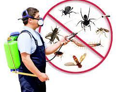 Pest Control Services