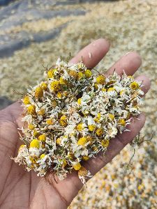 Dried Chamomile flowers