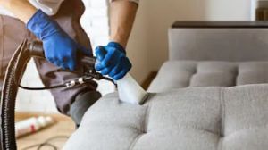 Sofa and furniture cleaning