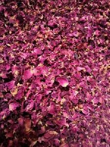 Dry rose clean petal