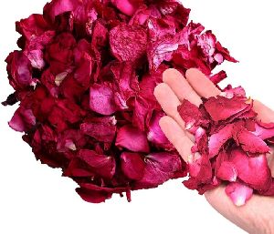 Fresh Rose petal