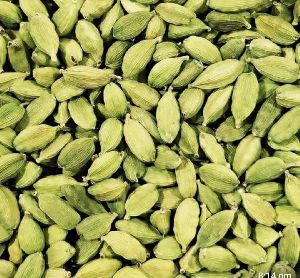 Green Cardamom (Elaichi)