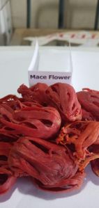 Mace flower