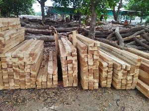 Neem Wood Cut Size