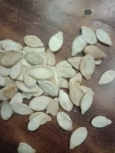 Pumpkin Seeds