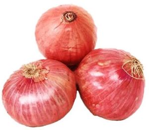 Red Onion