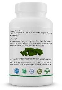 MORINGA LEAF 500MG 60 CAPSULES