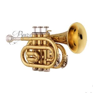 Rmze Professional Standard Gold Pocket Trumpet