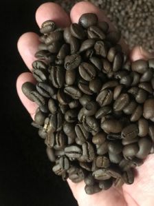 Robusta Coffee Beans