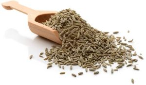 Cumin Seeds