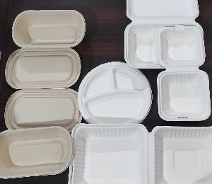 Biodegradable container