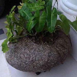 Stone Flower Planter