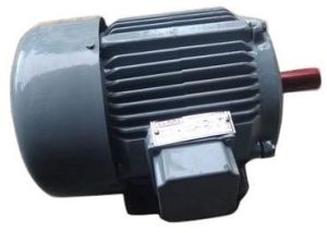 Electric Induction Motor