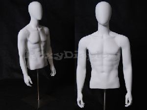 Male Torso