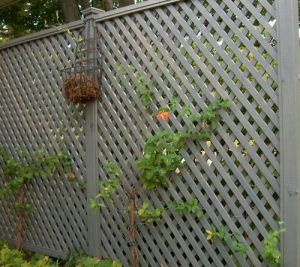 Lattice Trellis panel