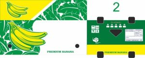 Export Quality Banana Packaging Box