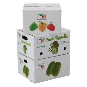 Vegetable Packaging Box