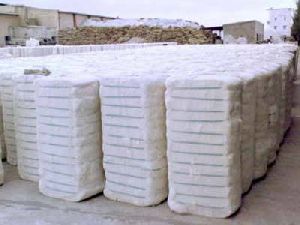 Organic Cotton Bales