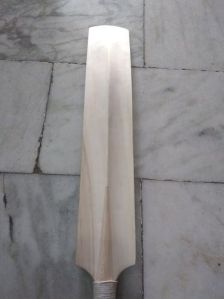 Kashmir Willow Cricket Bat