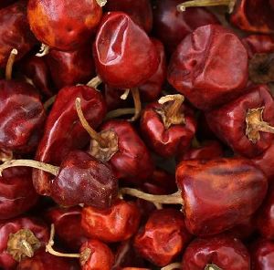 Gundu Dried Red Chilli