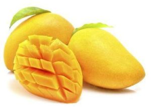 kutch kesar mango