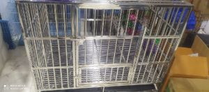 Steel pet cage