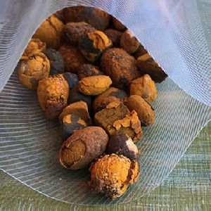 Cow Gallstones