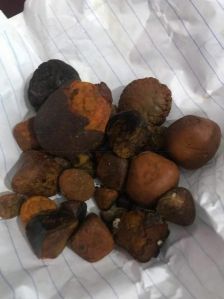 Ox Gallstones