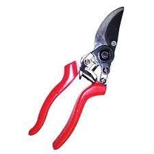 Pruning Shear