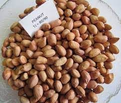 Groundnut Kernel