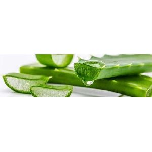 Aloe Vera Extract