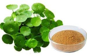 Brahmi Extract