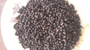 Black Pepper Seeds