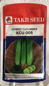 Cucumber Seeds