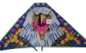 Dragon Printed Paper Kite