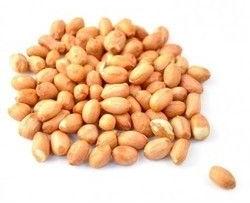 Groundnuts / Raw Peanuts