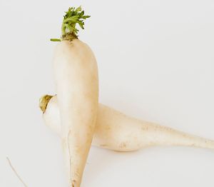 Fresh Radish