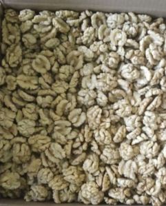 Walnut Kernels